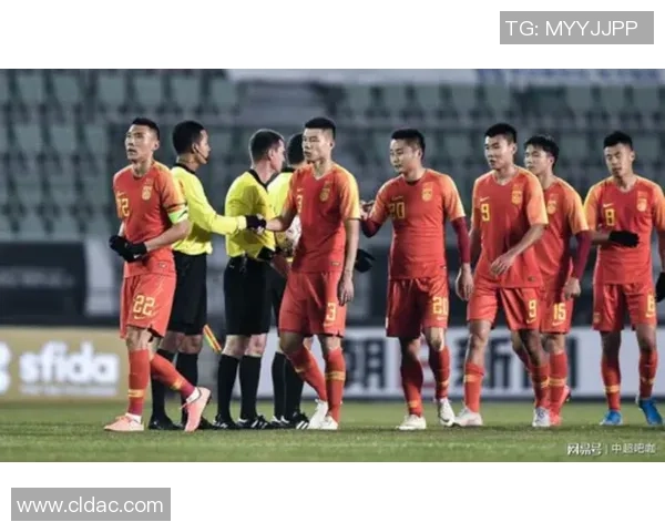 刘强独家揭秘排球技巧与心得分享助你提升竞技水平