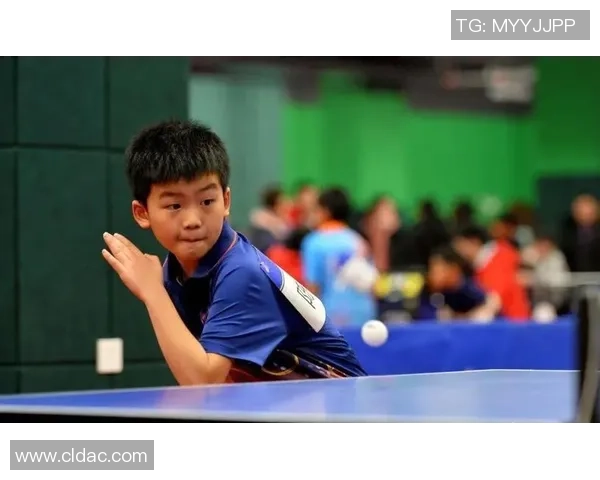 武汉乒乓球队在杯赛中的耐力表现分析与未来展望