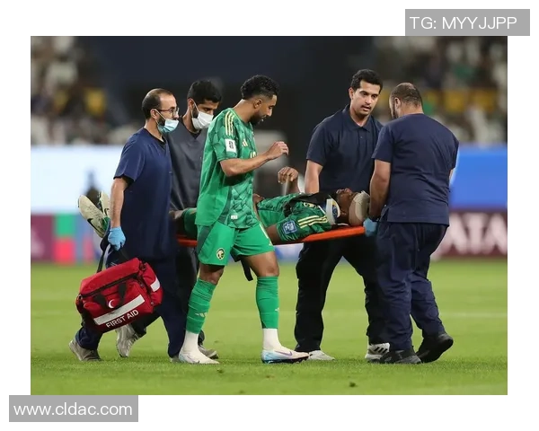 重庆羽毛球队在世界杯预选赛中的精彩表现与力量解析