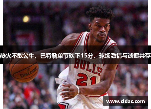 热火不敌公牛,巴特勒单节砍下15分,球场激情与遗憾共存